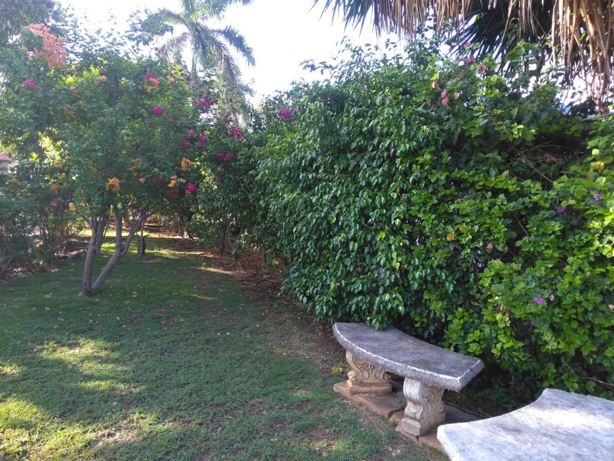 Ferienwohnung Irresistible View-Mobay Club 1408 Montego Bay Exterior foto
