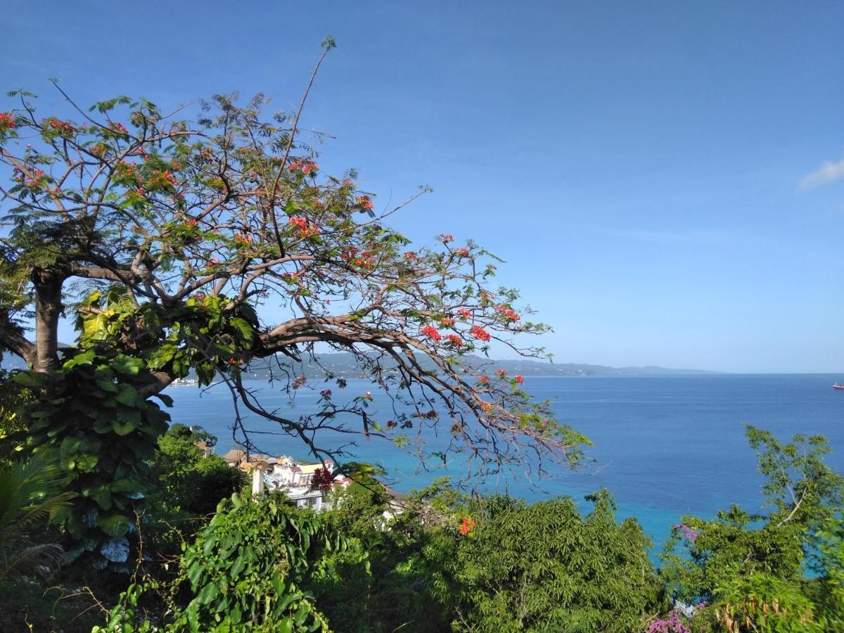 Ferienwohnung Irresistible View-Mobay Club 1408 Montego Bay Exterior foto